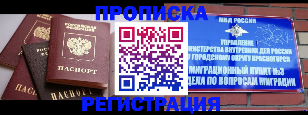 прописка для школы в Армавире
